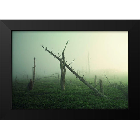 Beautiful Rot Black Modern Wood Framed Art Print by Sugimoto, Koji