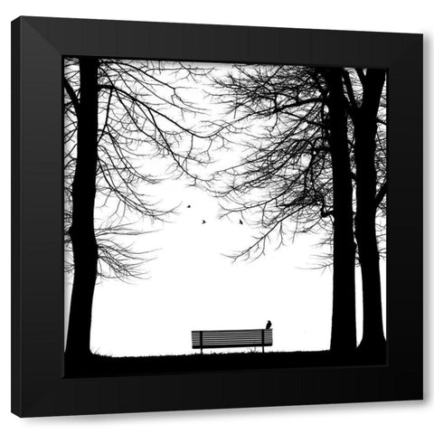 Il Corvo Black Modern Wood Framed Art Print with Double Matting by Della Latta, Massimo