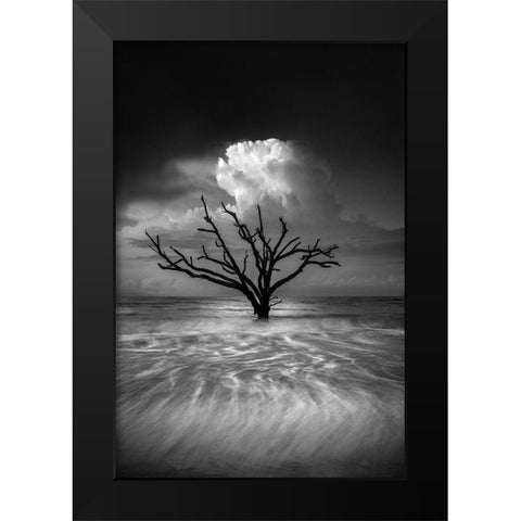 Oceanus Black Modern Wood Framed Art Print by Moore, Chris