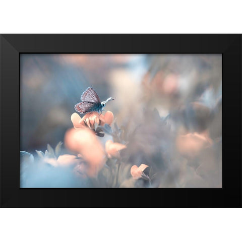 Parmi Les Dakinis Black Modern Wood Framed Art Print by Bravin, Fabien