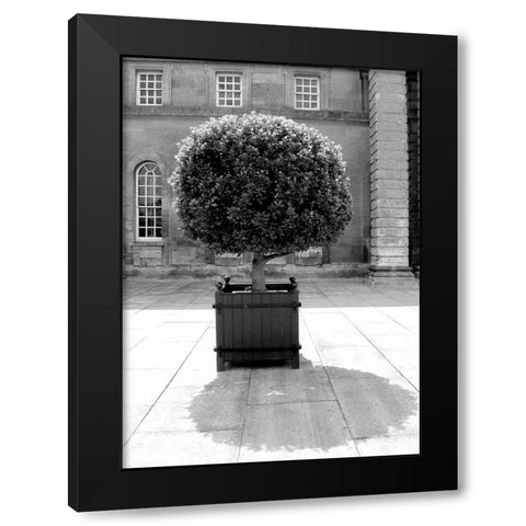 Architectural Detail, Blenheim Palace Black Modern Wood Framed Art Print with Double Matting by Blue, Cyril