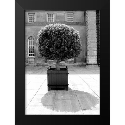 Architectural Detail, Blenheim Palace Black Modern Wood Framed Art Print by Blue, Cyril