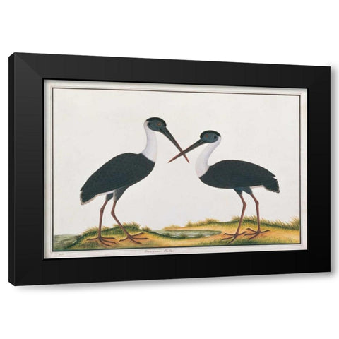 Bangou Eatan, Crane Black Modern Wood Framed Art Print with Double Matting by Anonymous