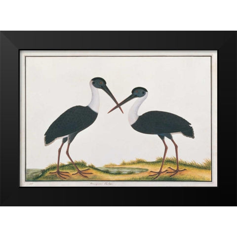 Bangou Eatan, Crane Black Modern Wood Framed Art Print by Anonymous