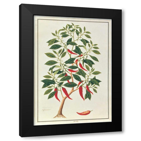 Chile Black Modern Wood Framed Art Print with Double Matting by Anonymous
