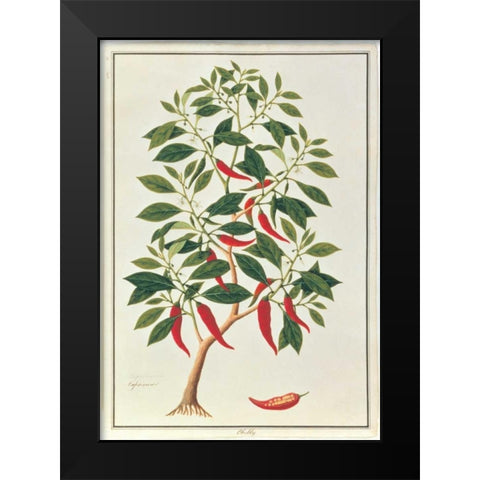 Chile Black Modern Wood Framed Art Print by Anonymous