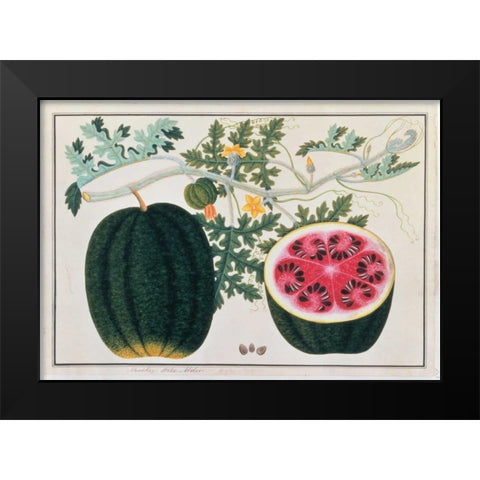 Watermelon Black Modern Wood Framed Art Print by Anonymous