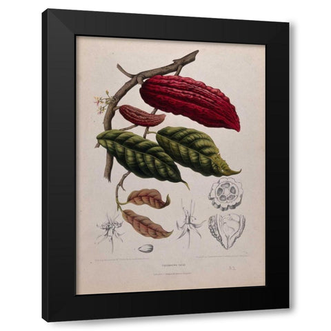 Cacao Black Modern Wood Framed Art Print with Double Matting by Van Nooten, Madame