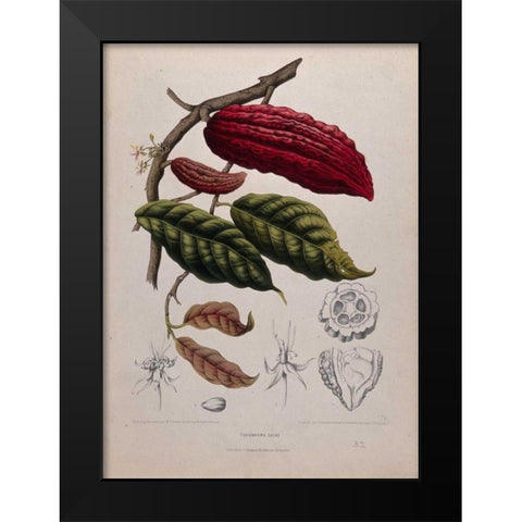 Cacao Black Modern Wood Framed Art Print by Van Nooten, Madame