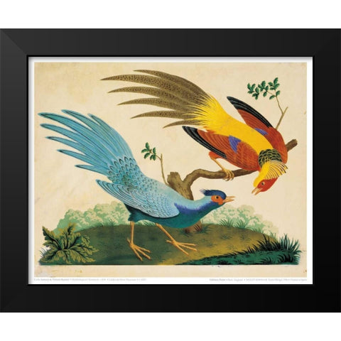 Golden and Silver Pheasant Black Modern Wood Framed Art Print by Raineri, Carlo, Vittorio