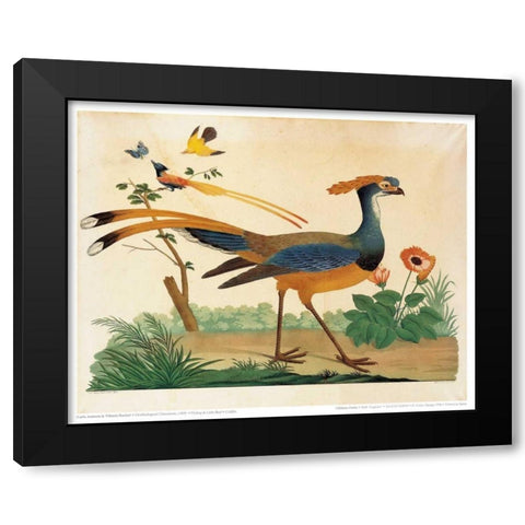Flytrap, Little bird and Butterfly Black Modern Wood Framed Art Print with Double Matting by Raineri, Carlo, Vittorio