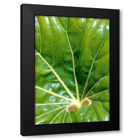 Tropical Leaf Black Modern Wood Framed Art Print by Blue, Cyril