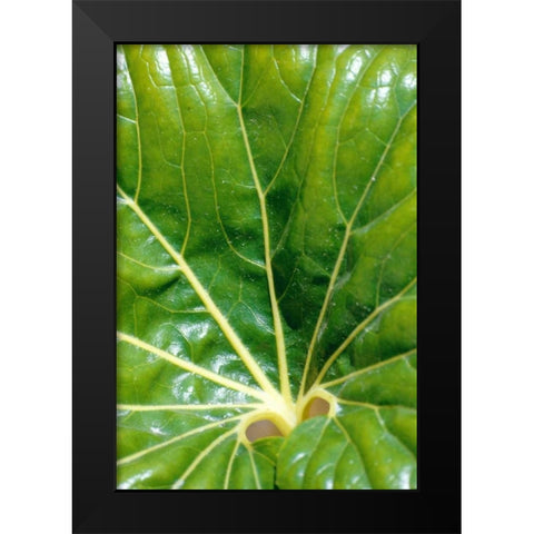 Tropical Leaf Black Modern Wood Framed Art Print by Blue, Cyril