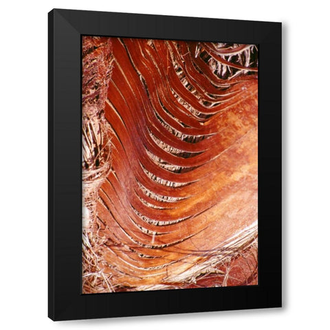 Palm Bark Black Modern Wood Framed Art Print by Blue, Cyril