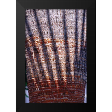 Date Palm Crown Black Modern Wood Framed Art Print by Blue, Cyril