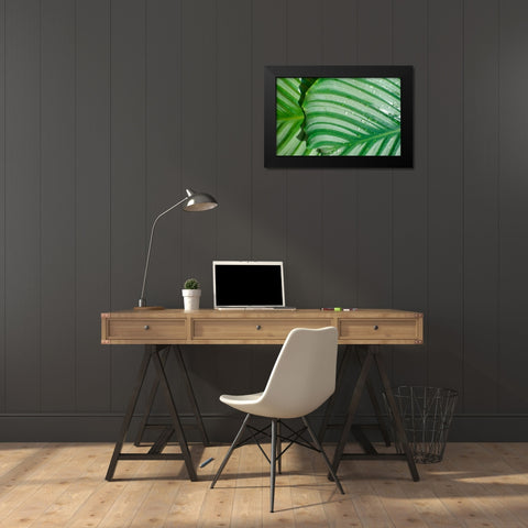 Tropical Leaf Black Modern Wood Framed Art Print by Blue, Cyril