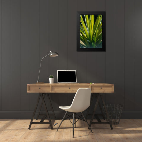 Aloe Black Modern Wood Framed Art Print by Blue, Cyril