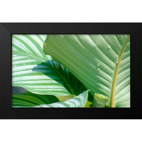 Tropical Leaves Black Modern Wood Framed Art Print by Blue, Cyril