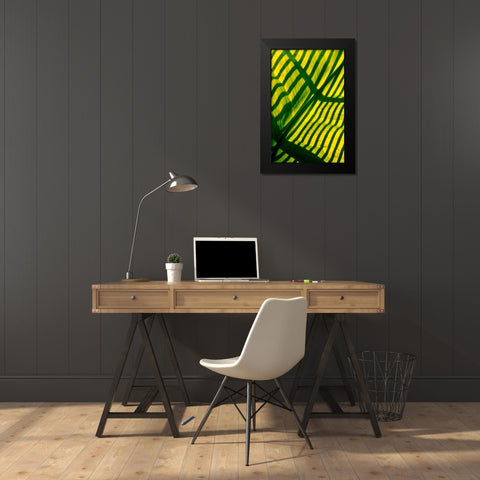 Palm Frond Black Modern Wood Framed Art Print by Blue, Cyril