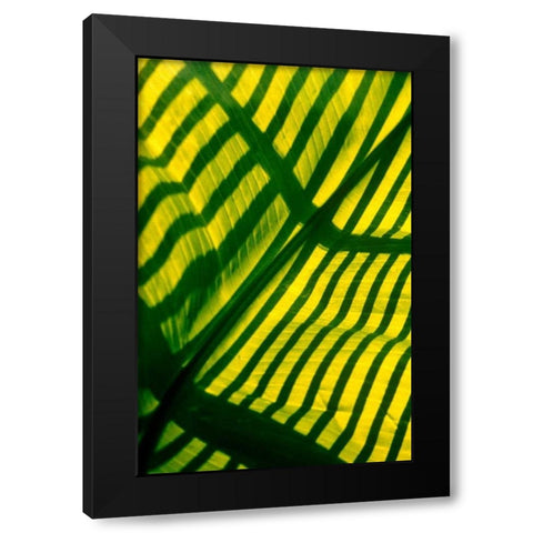 Palm Frond Black Modern Wood Framed Art Print by Blue, Cyril