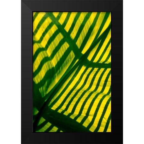Palm Frond Black Modern Wood Framed Art Print by Blue, Cyril