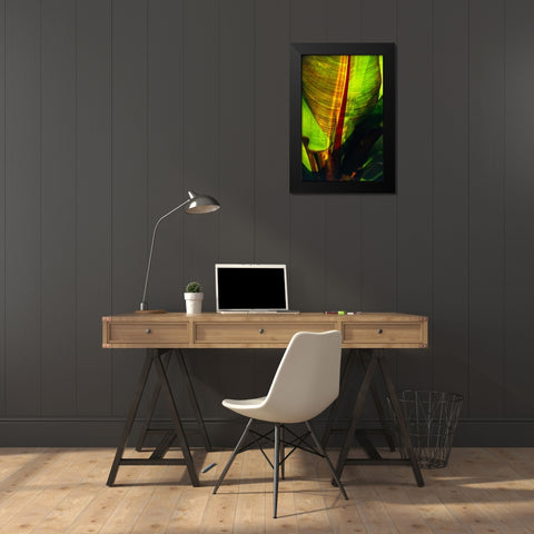Palm Frond Black Modern Wood Framed Art Print by Blue, Cyril