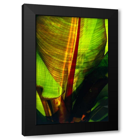 Palm Frond Black Modern Wood Framed Art Print with Double Matting by Blue, Cyril
