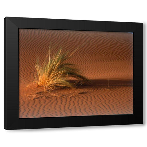 Grass, Sand Dune Sahara Black Modern Wood Framed Art Print by Blue, Cyril