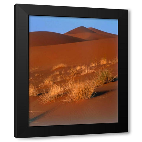 Grasses, Sand Dunes Sahara Black Modern Wood Framed Art Print by Blue, Cyril