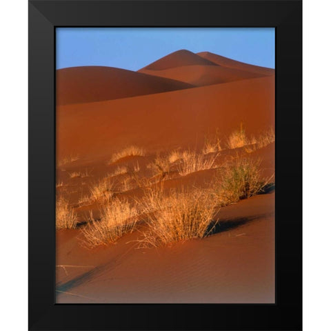 Grasses, Sand Dunes Sahara Black Modern Wood Framed Art Print by Blue, Cyril