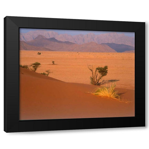 Grasses, Trees, Sand Dunes Sahara Black Modern Wood Framed Art Print by Blue, Cyril
