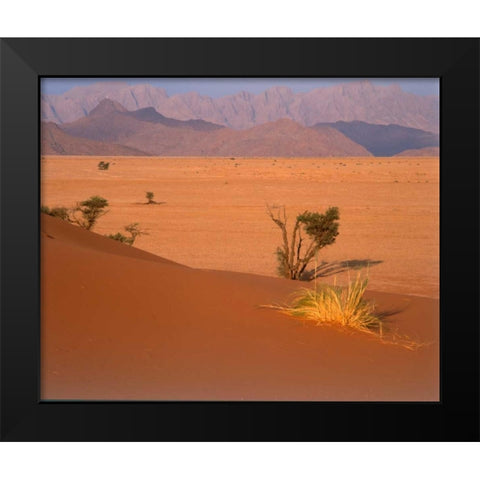 Grasses, Trees, Sand Dunes Sahara Black Modern Wood Framed Art Print by Blue, Cyril