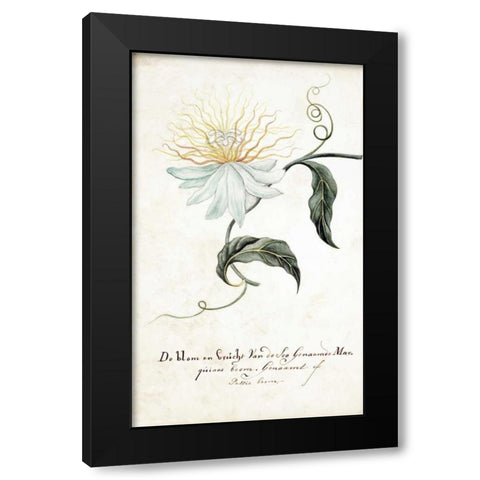 Passion Tree Black Modern Wood Framed Art Print with Double Matting by Markee, Cornelis