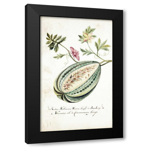 Watermelon, Leaves, Butterfly Black Modern Wood Framed Art Print by Markee, Cornelis