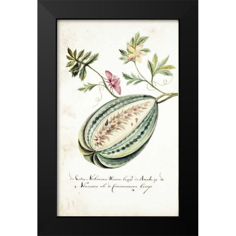 Watermelon, Leaves, Butterfly Black Modern Wood Framed Art Print by Markee, Cornelis