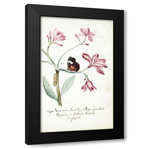 Jasmine Tree Branch, Caterpillar Black Modern Wood Framed Art Print with Double Matting by Markee, Cornelis