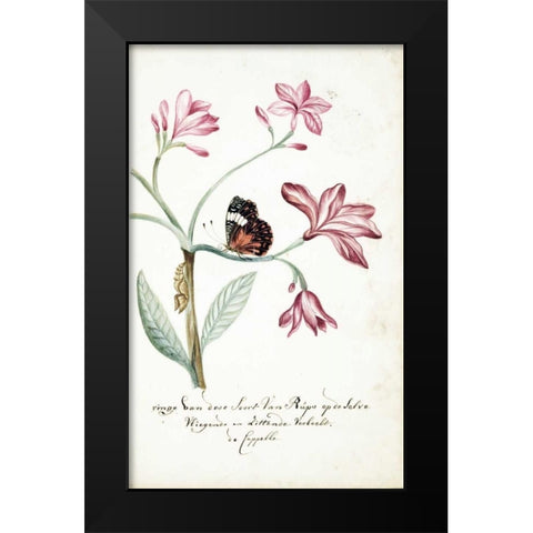 Jasmine Tree Branch, Caterpillar Black Modern Wood Framed Art Print by Markee, Cornelis