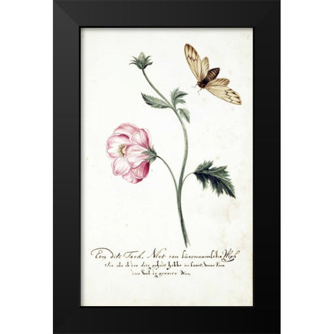 Anemone, Surinam Fly Black Modern Wood Framed Art Print by Markee, Cornelis