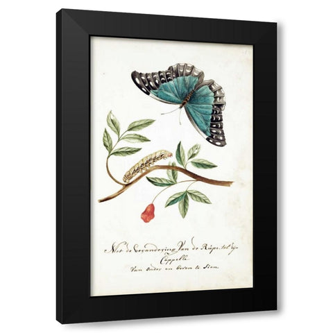 Plant With Leaves, Caterpillar, Butterfly Black Modern Wood Framed Art Print with Double Matting by Markee, Cornelis