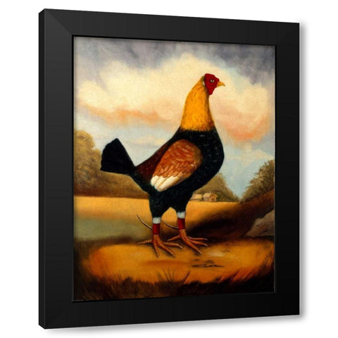 Second Fighting Cock Black Modern Wood Framed Art Print by Churchill, Alexandra