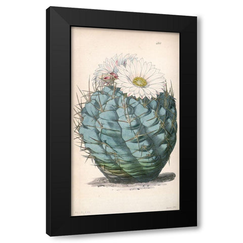 Cactus Black Modern Wood Framed Art Print by Curtis, William