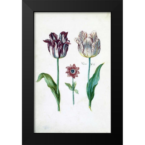 Tulips Black Modern Wood Framed Art Print by De Bray, Dirck