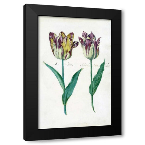 Tullips Black Modern Wood Framed Art Print by De Bray, Dirck