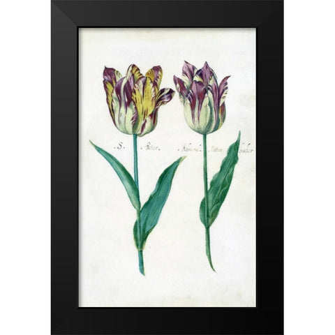 Tullips Black Modern Wood Framed Art Print by De Bray, Dirck