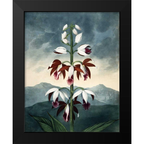 China Limaderen Black Modern Wood Framed Art Print by Michaux, Francois A.