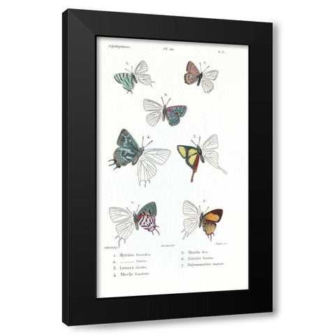 Buterflies, Plate 22 Black Modern Wood Framed Art Print with Double Matting by Blanchard, Emile