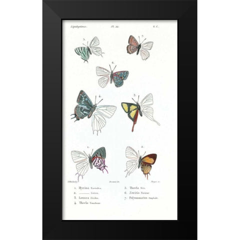 Buterflies, Plate 22 Black Modern Wood Framed Art Print by Blanchard, Emile