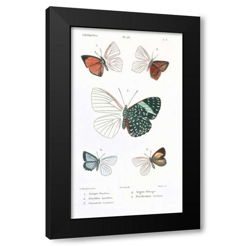 Butterflies, Plate 23 Black Modern Wood Framed Art Print with Double Matting by Blanchard, Emile