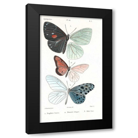 Butterflies, Plate 24 Black Modern Wood Framed Art Print with Double Matting by Blanchard, Emile