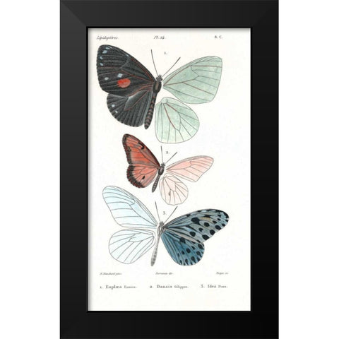 Butterflies, Plate 24 Black Modern Wood Framed Art Print by Blanchard, Emile